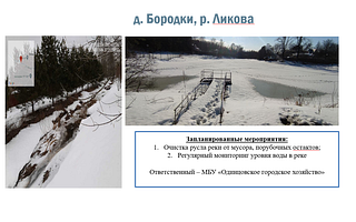 д. Бородки, р. Ликова