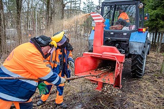 Участники субботника убирали валежник, собирали мусор, выполняли опиловку деревьев и сухостоя, ветки с помощью измельчителей были на месте переработаны в опилки