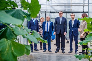 Андрей Иванов посетил Федеральный научный центр овощеводства