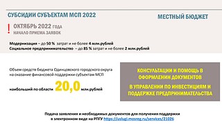 Субсидии субъектам МСП 2022