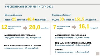 Субсидии субъектам МСП Итоги 2021