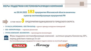 Меры поддержки системообразующих компаний