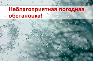 В регионе объявили «жёлтый» уровень опасности из-за гололедицы и сильного ветра