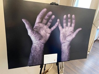 Фотовыставка Заура Карамызова «Шиховские струны»