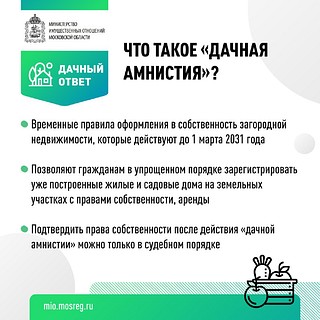 Что такое «дачная амнистия»?