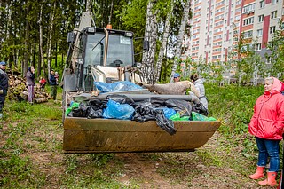 Активисты пилили валежник и сухостой, собирали и вывозили мусор
