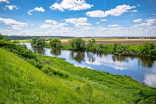 Нарские пруды в Одинцовском городском округе