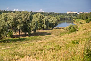 Нарские пруды в Одинцовском городском округе