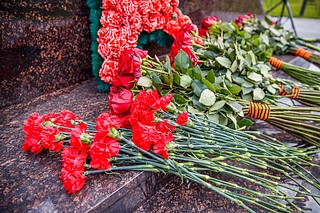 Цветы