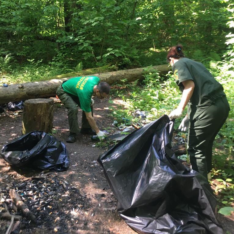 Лес около поселка Усово-Тупик очистили от мусора, Июнь