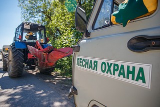 Лесная охрана