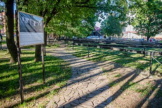 Участок площадью более 1,4 гектара был взят в аренду у Комитета лесного хозяйства