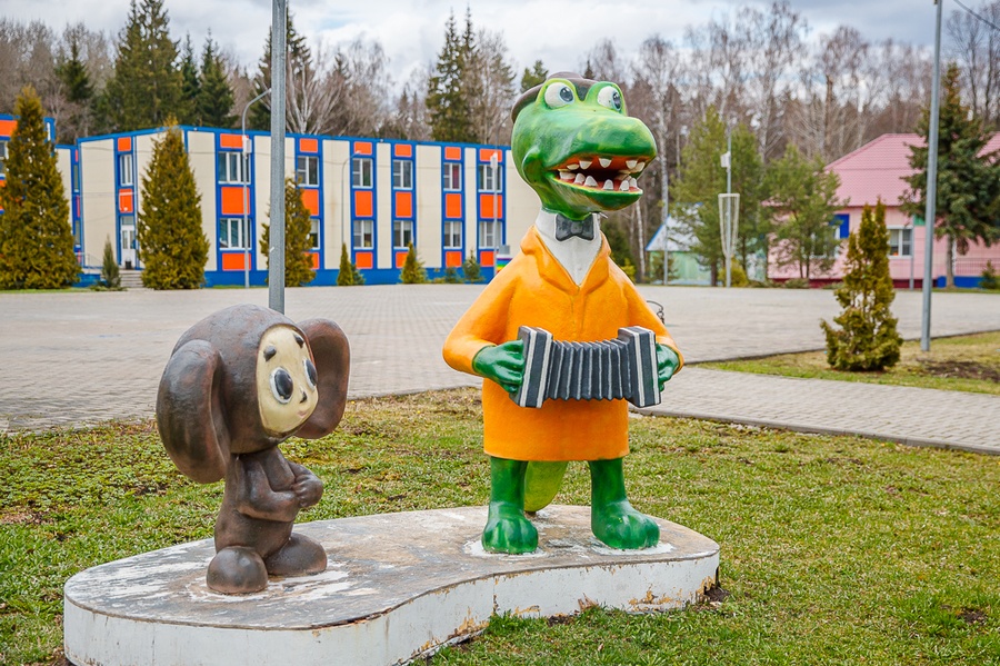 Фотозона, В Одинцовском городском округе началась летняя оздоровительная кампания