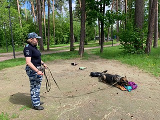 Кинологи рассказали подрастающему поколению о навыках служебных собак, в каких условиях они содержатся и как проходят обучение