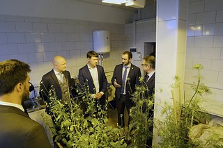 Перед совещанием гости осмотрели тепличный комплекс и центр доработки семян