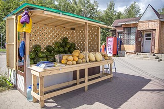 Одинцовский округ — лидер Московской области по количеству бахчевых развалов