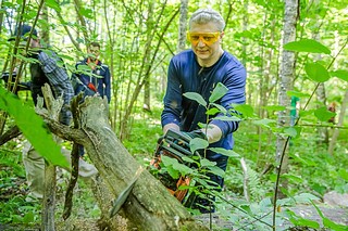 В Одинцово продолжается серия масштабных субботников, которая стартовала в конце мая