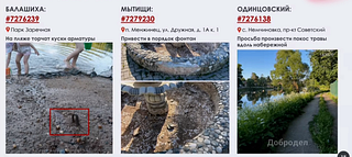 Ситуация с вывозом мусора в ЖК «Инновация», слайд 1