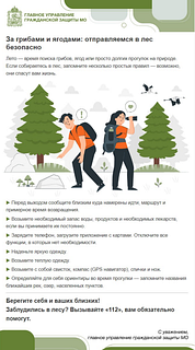 Сотрудники одинцовской Службы-112 дают несколько советов — как не заблудиться в лесу