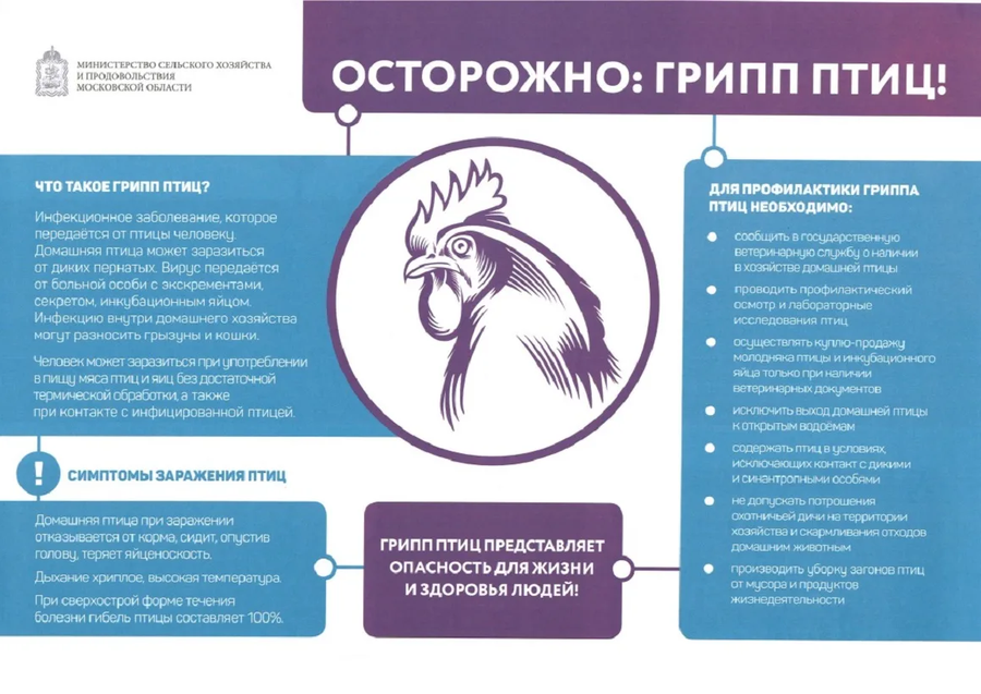 Одинцовская ветеринарная станция информирует об обострении ситуации с высоко патогенным гриппом птиц, Июль