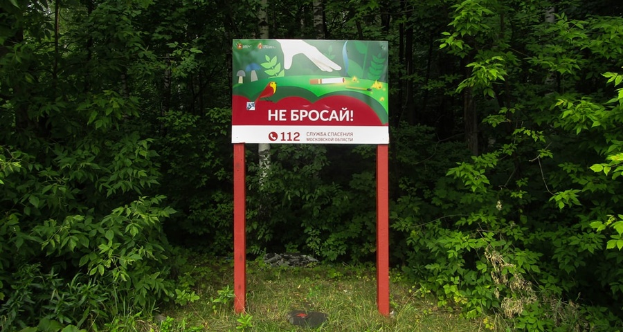 На территории Московской области введены ограничения на посещение лесов, Август
