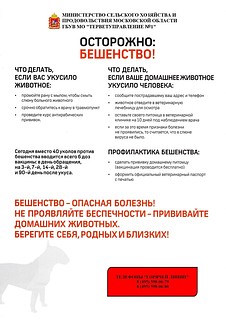 Осторожно бешество