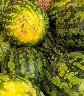 В Одинцовском округе стартовала официальная продажа арбузов и дынь