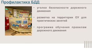 Профилактика БДД