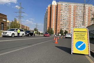 Одинцовские госавтоинспекторы провели профилактическую акцию «Ребенок — пассажир, пешеход!»