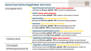 Областные меры поддержки МСП 2022