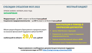 Субсидии субъектам МСП 2022
