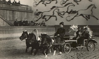 Конный завод в селе Успенское Звенигородского уезда был организован в 1924 году