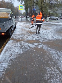 Обработка дорог была проведена в установленные нормативами сроки