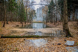 Водные объекты на территории парка относятся к каскаду прудов ручья Безымянный