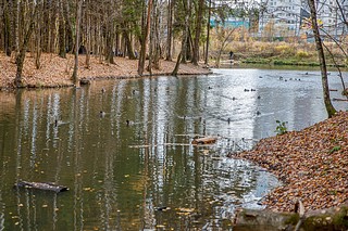 Водные объекты на территории парка относятся к каскаду прудов ручья Безымянный