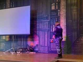 В рамках акции организаторы вручили гражданам информационные памятки с рекомендациями о том, как обезопасить себя и своих близких от действий мошенников