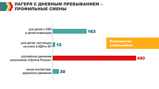 Лагеря с дневным пребыванием