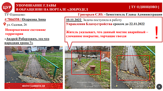Упоминание главы в обращении на портале