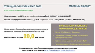 МСП 2