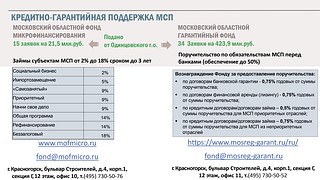 МСП 4