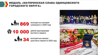 Медаль «Материнская слава ОГО»