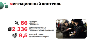 Миграционный контроль