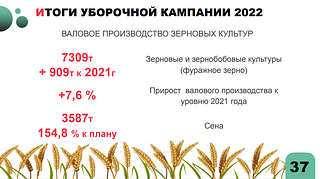Итоги уборочной кампании