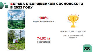 Борьба с борщевиком