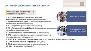 Состояние сельскохозяйственной отрасли