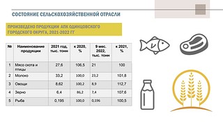 Состояние сельскохозяйственной отрасли