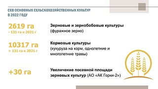 Сев основных сельскохозяйственных культур в 2022 году