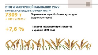 Итоги уборочной кампании 2022