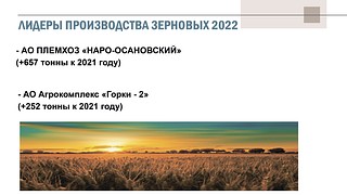 Лидеры производства зерновых