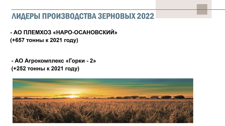 Лидеры производства зерновых, 2022